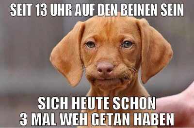 Seit 13 uhr auf den beinen sein sich heute schon 3