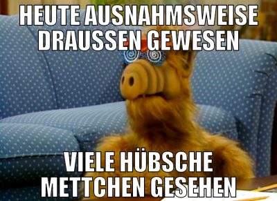 heute ausnahmsweise draußen gewesen viele hübsche