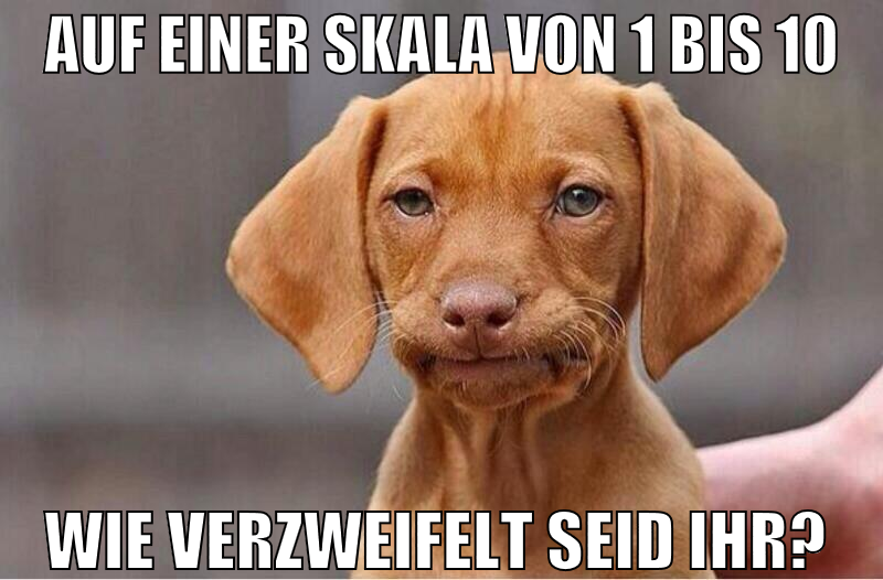 auf einer skala von 1 bis 10 wie verzweifelt seid