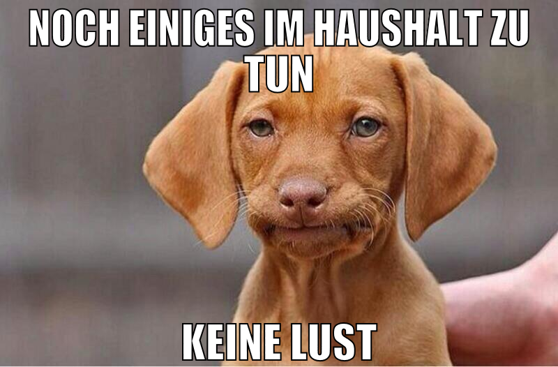 noch einiges im haushalt zu tun keine lust