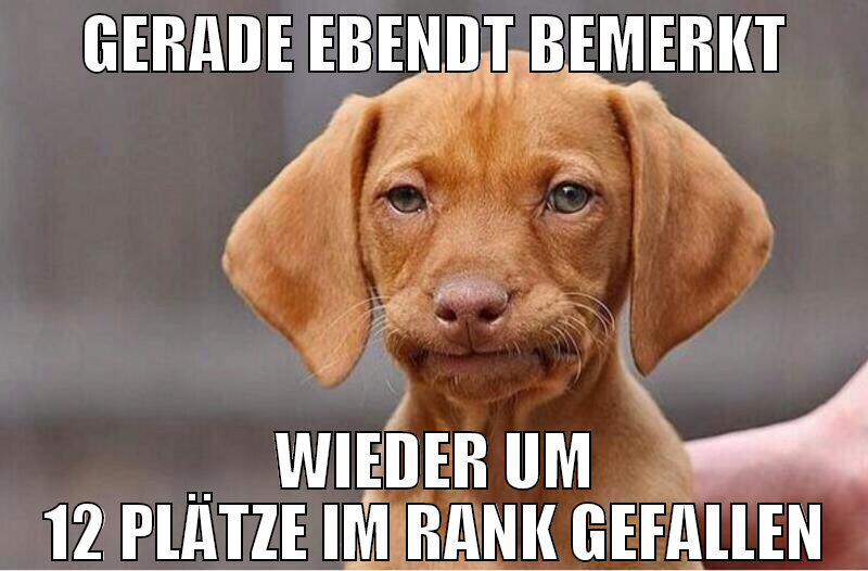 GERADE EBENdt BEMERKT WIEDER UM 12 plätze im rank