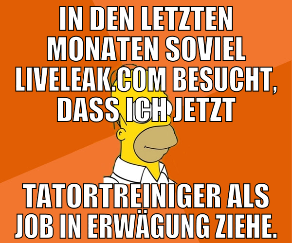in den letzten monaten soviel liveleak.com besucht