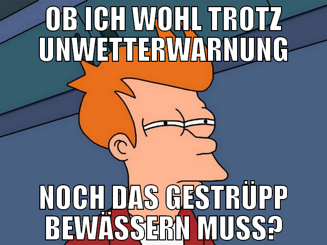 OB ICH WOHL TROTZ UNWETTERWARNUNG NOCH DAS GESTRÜP