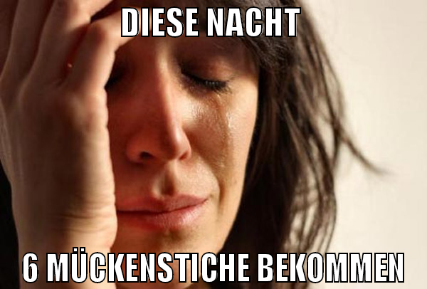 diese nacht  6 mückenstiche bekommen
