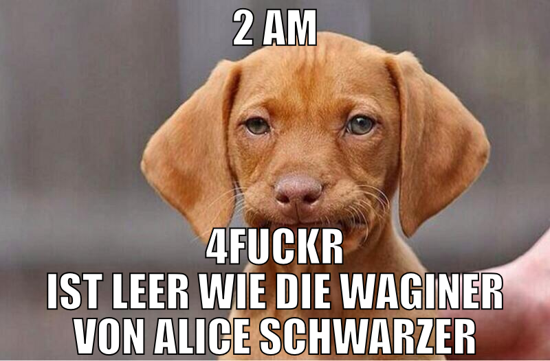 2 am 4fuckr ist leer wie die waginer von Alice Sch