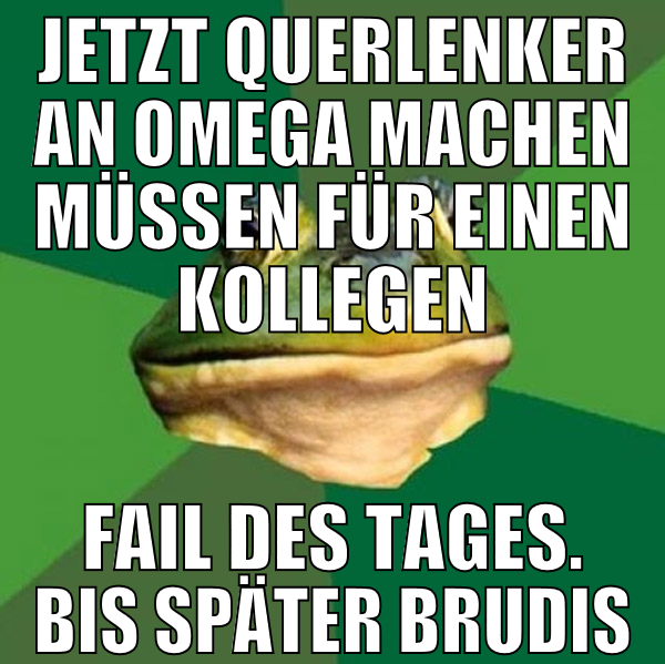 jetzt querlenker an omega machen müssen für einen
