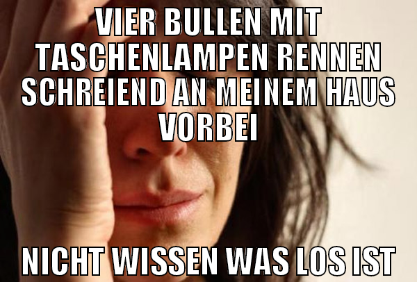 vier bullen mit taschenlampen rennen schreiend an