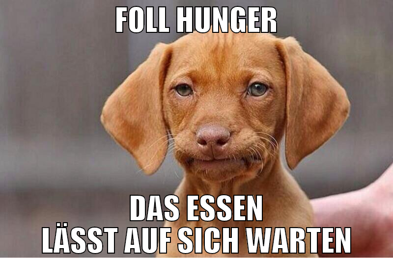 FOLL HUNGER DAS ESSEN LÄSST AUF SICH WARTEN