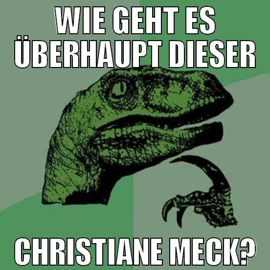 wie geht es überhaupt dieser christiane meck?