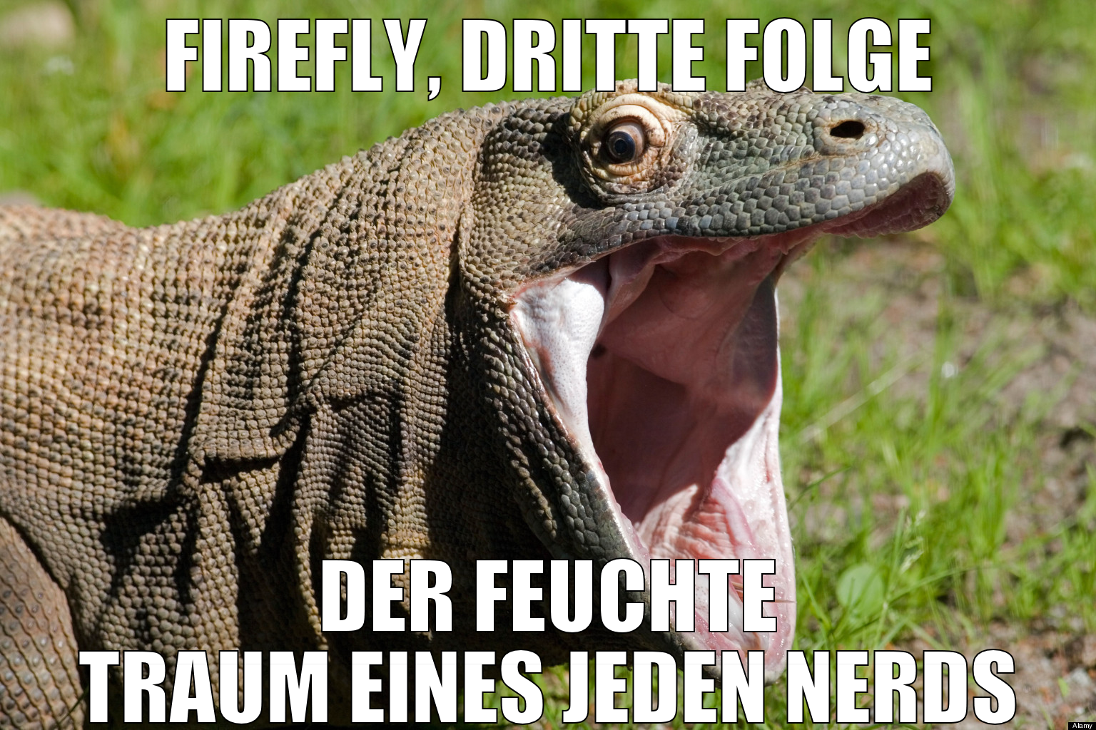 firefly, dritte folge DER FEUCHTE TRAUM EINES JEDE