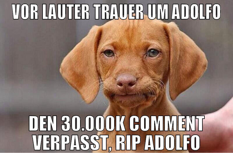 vor lauter trauer um adolfo den 30.000k comment ve