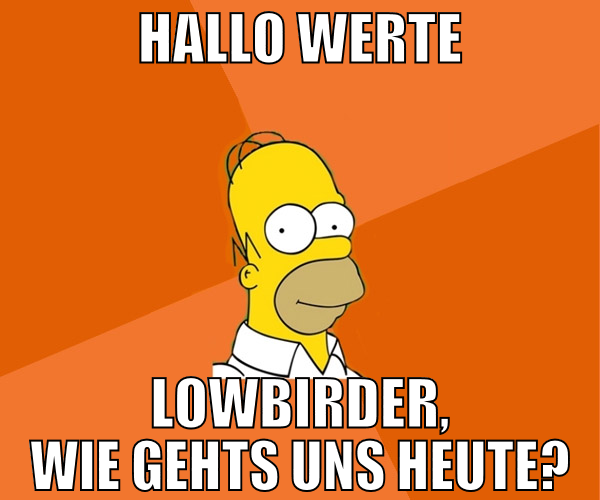 hallo werte lowbirder, wie gehts uns heute?