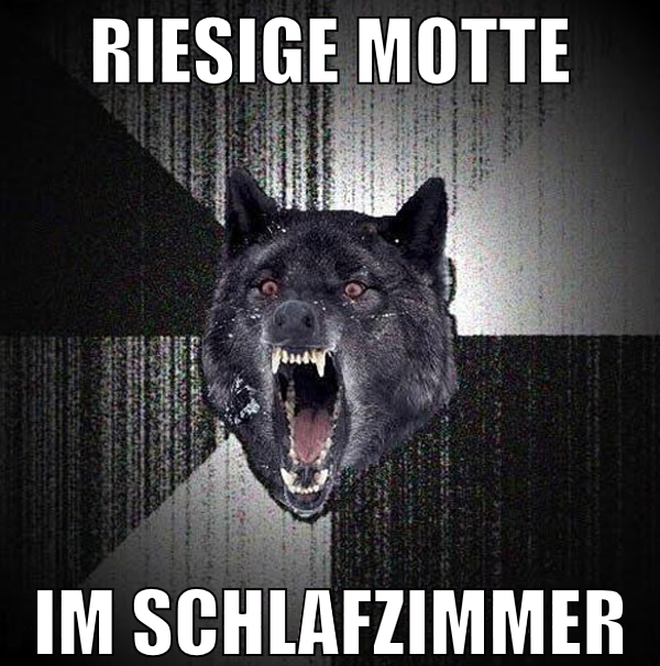 RIESIGE MOTTE IM SCHLAFZIMMER