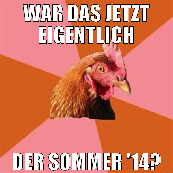 WAR DAS JETZT EIGENTLICH DER SOMMER '14?