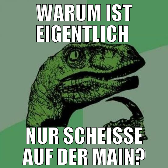 WARUM IST EIGENTLICH  NUR SCHEISSE AUF DER MAIN?
