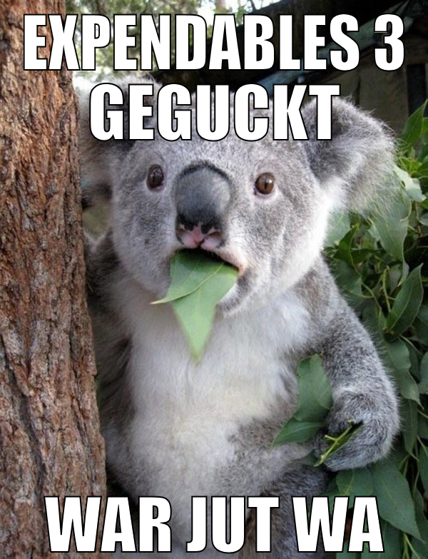 Expendables 3 geguckt war jut wa
