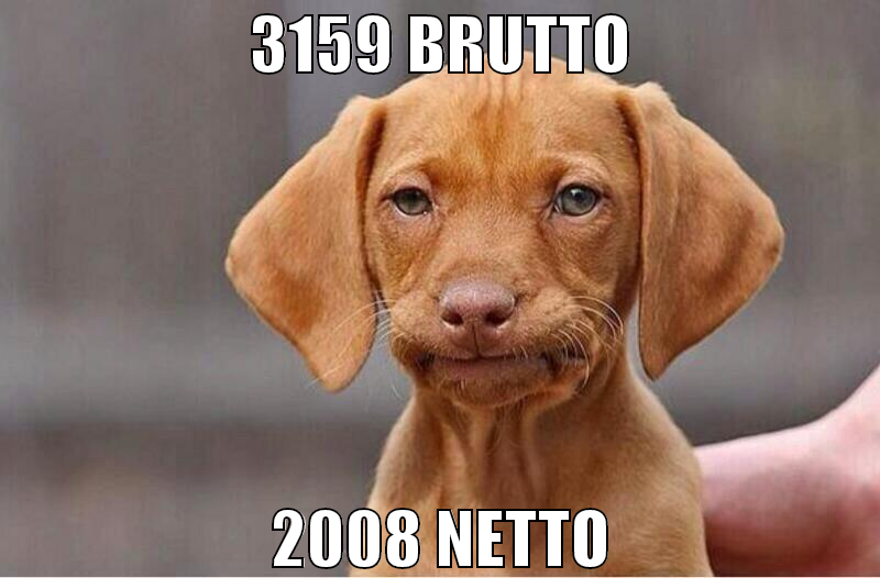 3159 brutto 2008 netto