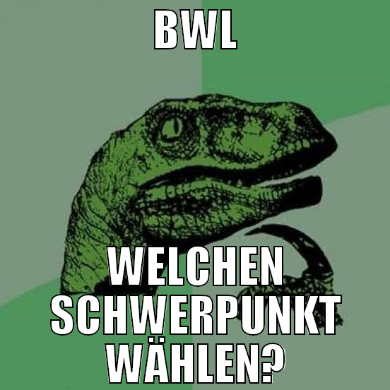 bwl welchen schwerpunkt wählen?