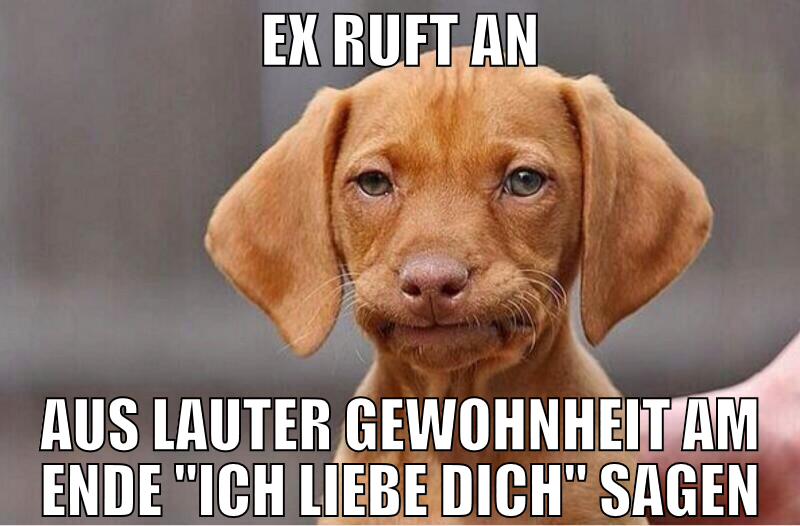 ex ruft an aus lauter gewohnheit am ende "ich lieb