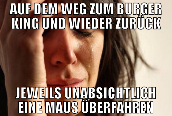 auf dem weg zum burger king und wieder zurück jewe