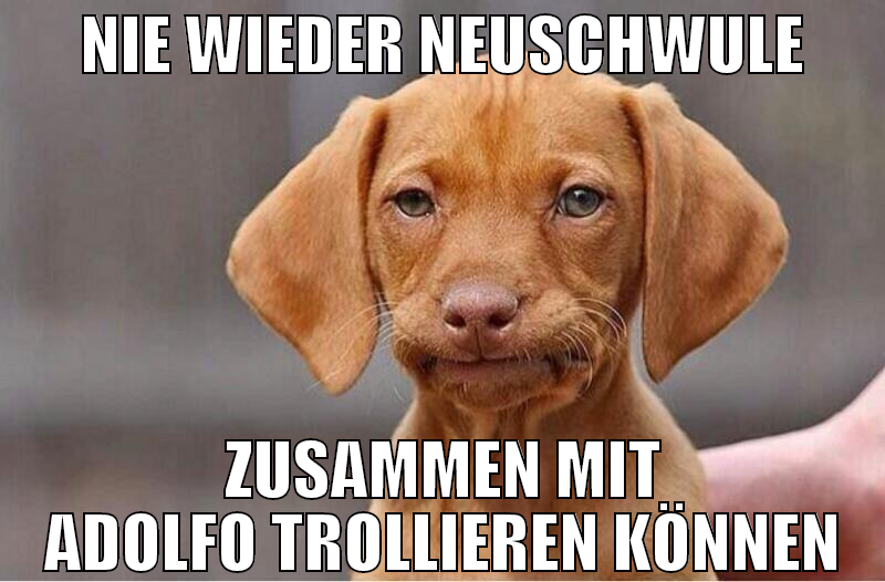 nie wieder neuschwule zusammen mit adolfo trollier