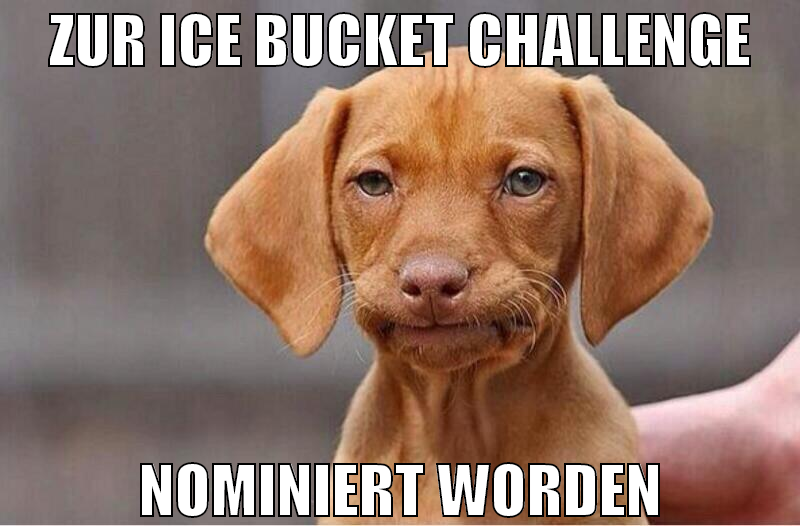 zur ice bucket challenge nominiert worden