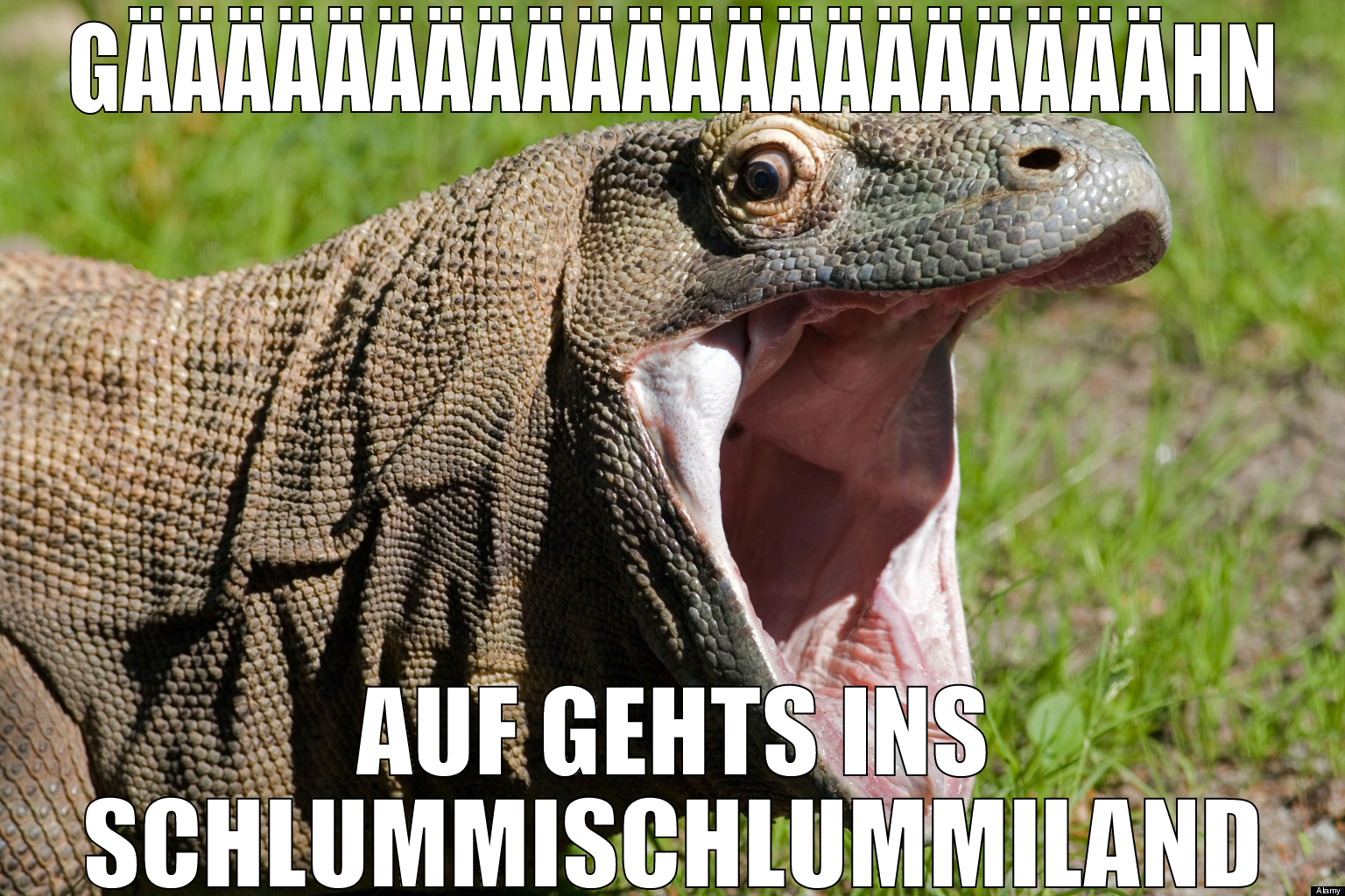 gääääääääääääääääääääähn auf gehts ins schlummisch