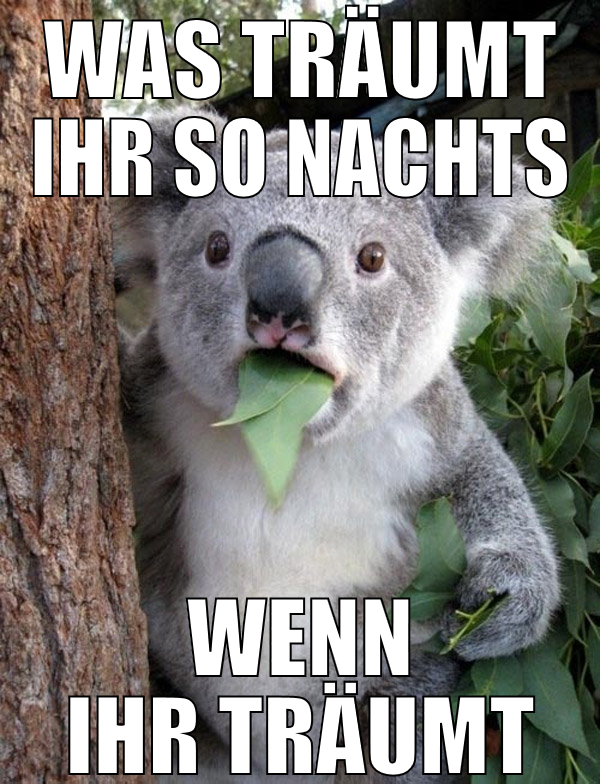 was träumt ihr so nachts wenn ihr träumt