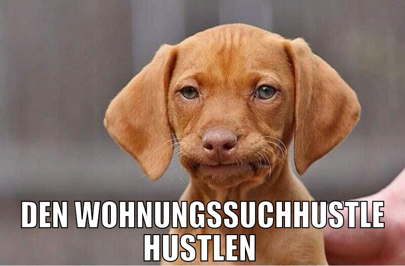 den wohnungssuchhustle hustlen