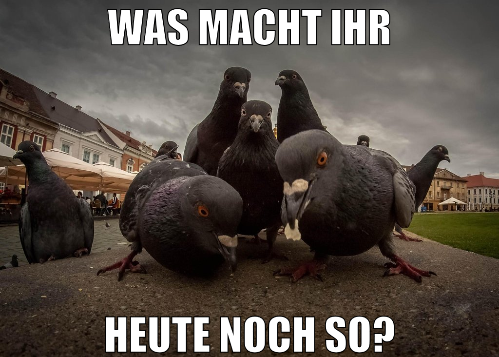 was macht ihr heute noch so?