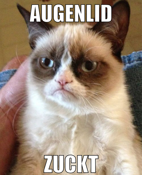 augenlid zuckt
