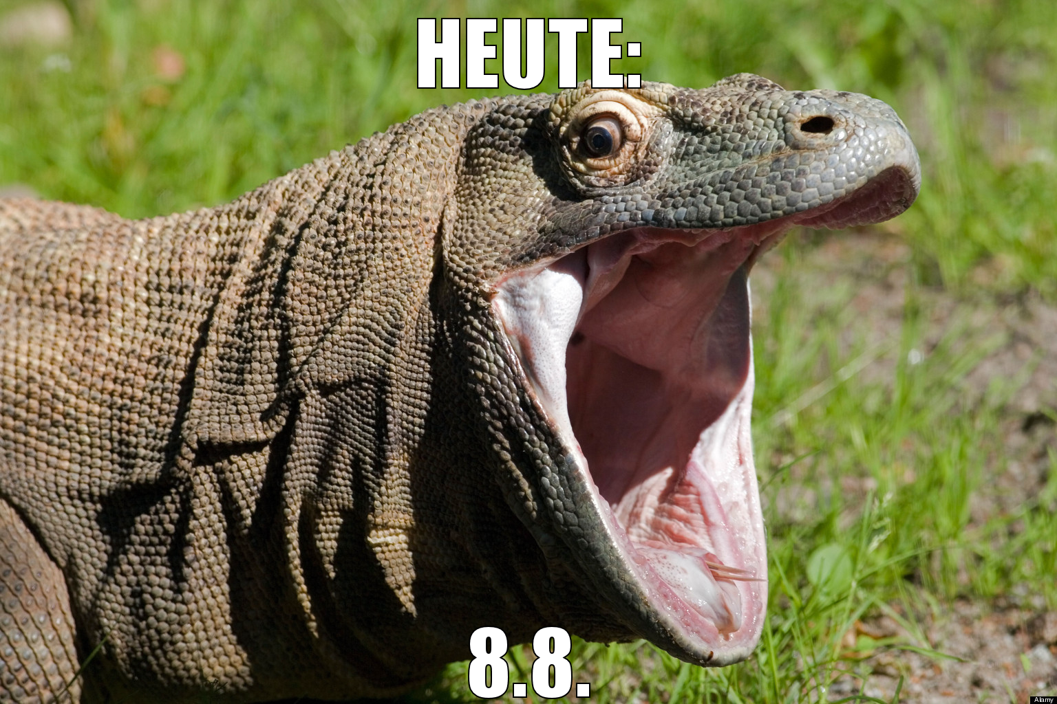 heute: 8.8.