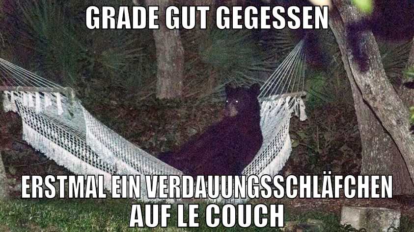 Grade gut gegessen erstmal ein verdauungsschläfche