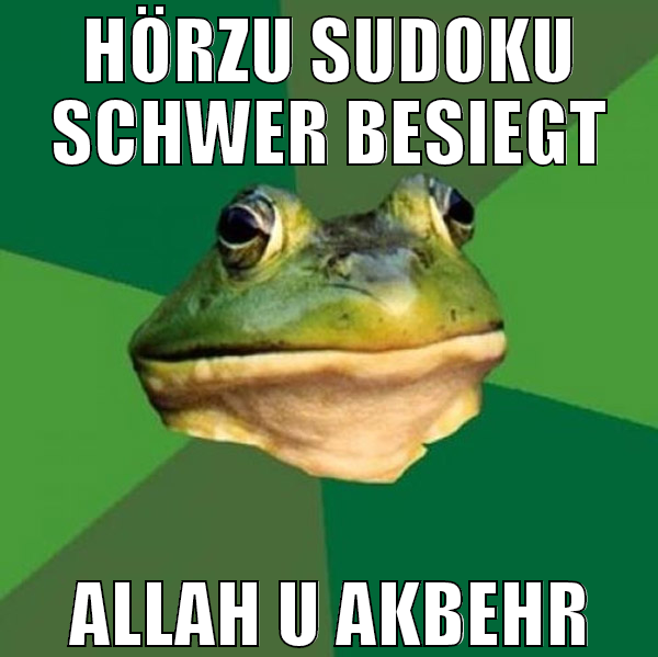 hörzu sudoku schwer besiegt allah u akbehr
