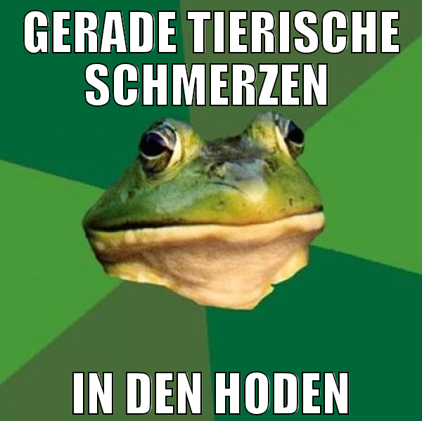 gerade tierische schmerzen  in den hoden