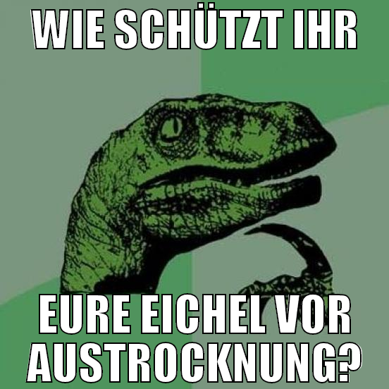 wie schützt ihr eure eichel vor austrocknung?
