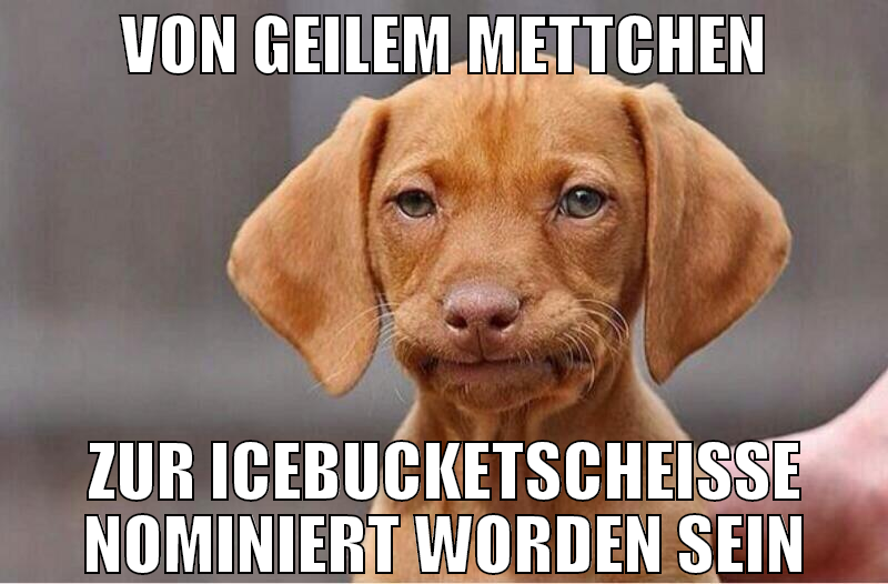 VON GEILEM METTCHEN ZUR ICEBUCKETSCHEIßE NOMINIERT