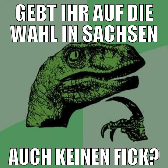 gebt ihr auf die wahl in sachsen auch keinen fick?