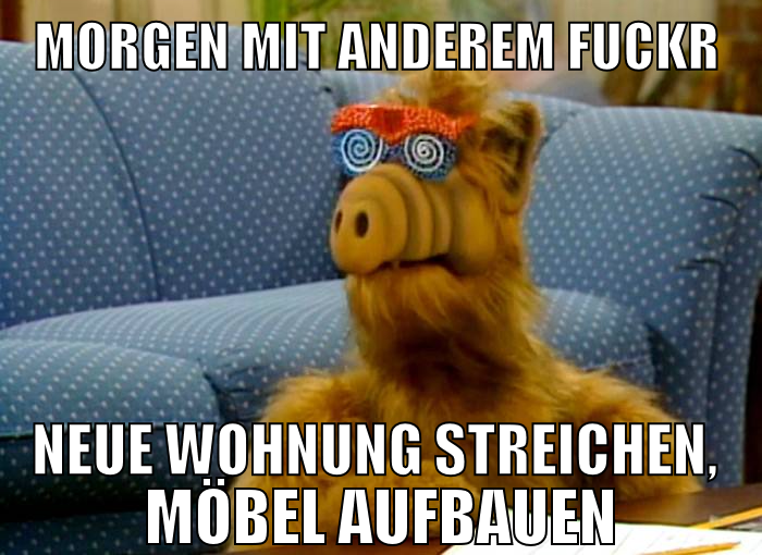 morgen mit anderem fuckr neue wohnung streichen, m