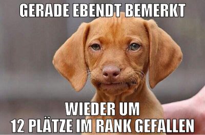 GERADE EBENdt BEMERKT WIEDER UM 12 plätze im rank