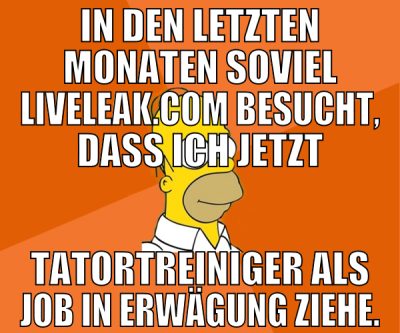 in den letzten monaten soviel liveleak.com besucht