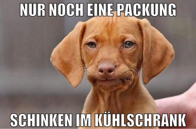 nur noch eine packung schinken im kühlschrank