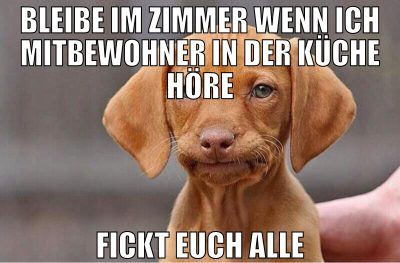 bleibe im Zimmer wenn ich mitbewohner in der küche