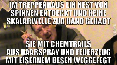 im treppenhaus ein nest von spinnen entdeckt und k