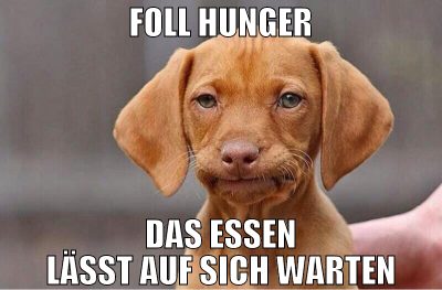 FOLL HUNGER DAS ESSEN LÄSST AUF SICH WARTEN