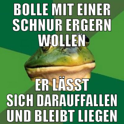bolle mit einer schnur ergern wollen er lässt sich