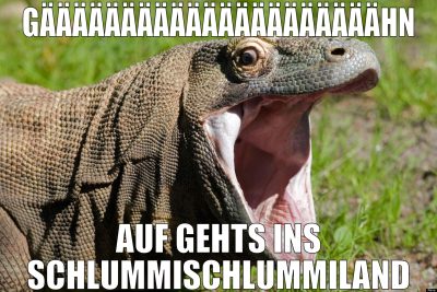 gääääääääääääääääääääähn auf gehts ins schlummisch