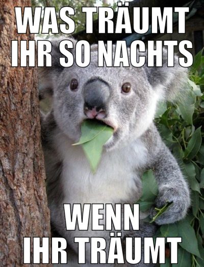 was träumt ihr so nachts wenn ihr träumt