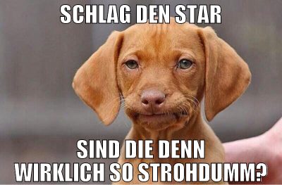 schlag den star sind die denn wirklich so strohdum