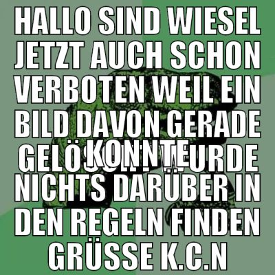 hallo sind wiesel jetzt auch schon verboten weil e